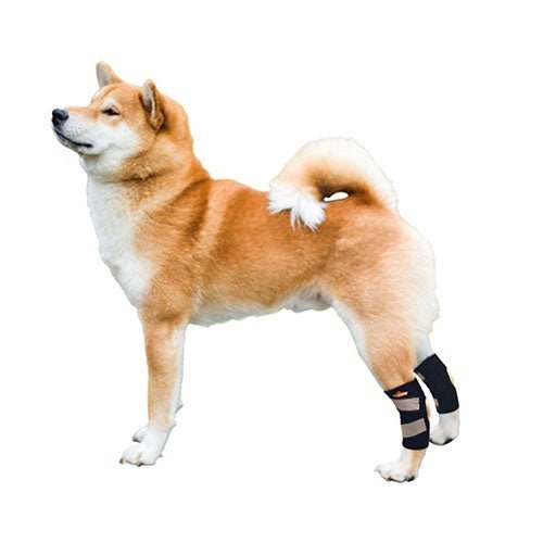 NeoAlly Dog Rear Leg Hock Brace with Safety Reflective Straps for Small Dogs [Short Version] – alternate view 7