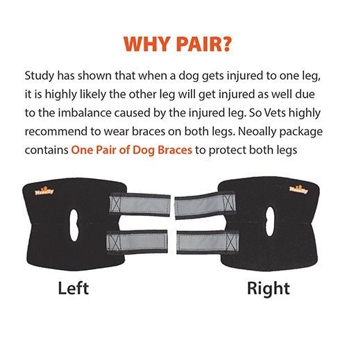 NeoAlly Dog Rear Leg Hock Brace with Safety Reflective Straps for Small Dogs [Short Version] – alternate view 8