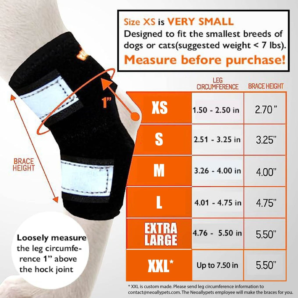 NeoAlly Dog Rear Leg Hock Brace with Safety Reflective Straps for Small Dogs [Short Version] – alternate view 4