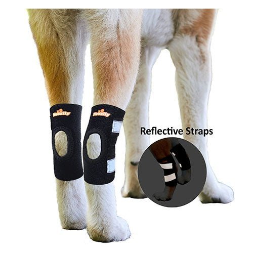 NeoAlly Dog Rear Leg Hock Brace with Safety Reflective Straps for Small Dogs [Short Version] – front view