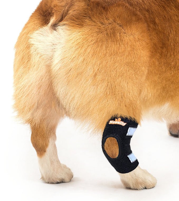 NeoAlly Dog Rear Leg Hock Brace with Safety Reflective Straps for Small Dogs [Short Version] – alternate view 3