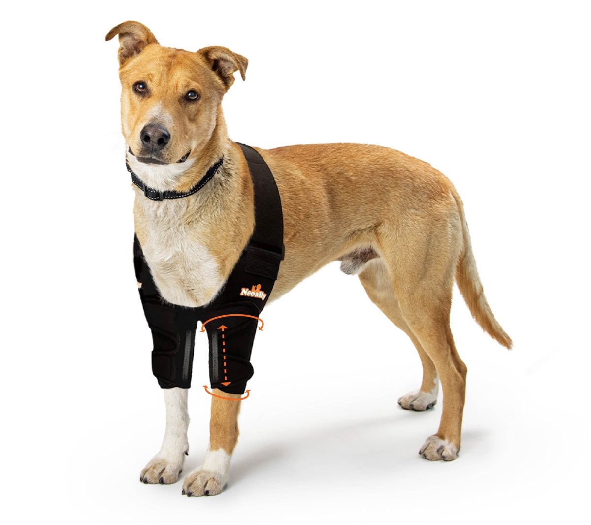 NeoAlly Elbow & Shoulder Brace with Spring Inserts – Pet Mobility Support – alternate view 3