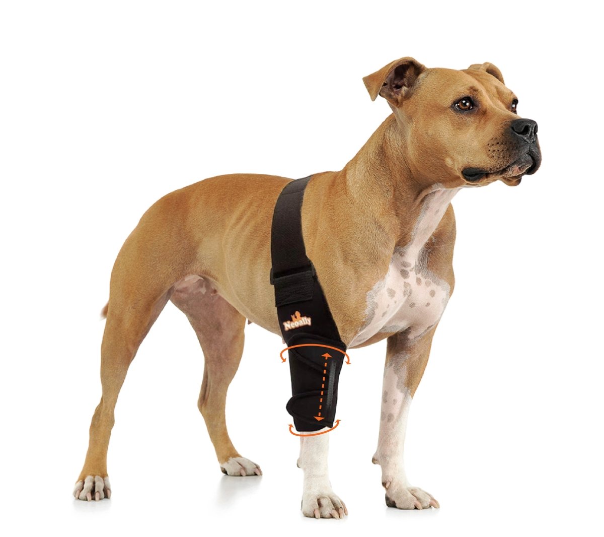 NeoAlly Elbow & Shoulder Brace with Spring Inserts – Pet Mobility Support – alternate view 2