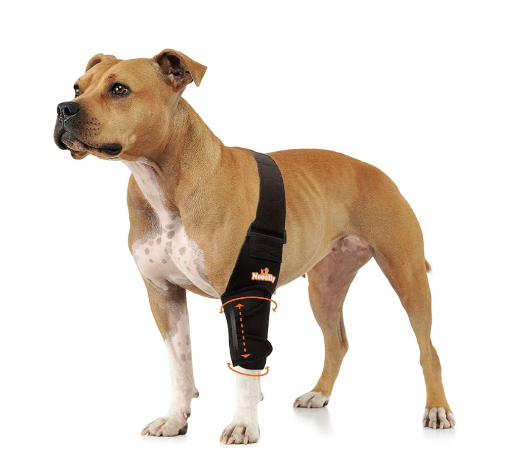 NeoAlly Elbow & Shoulder Brace with Spring Inserts – Pet Mobility Support – front view