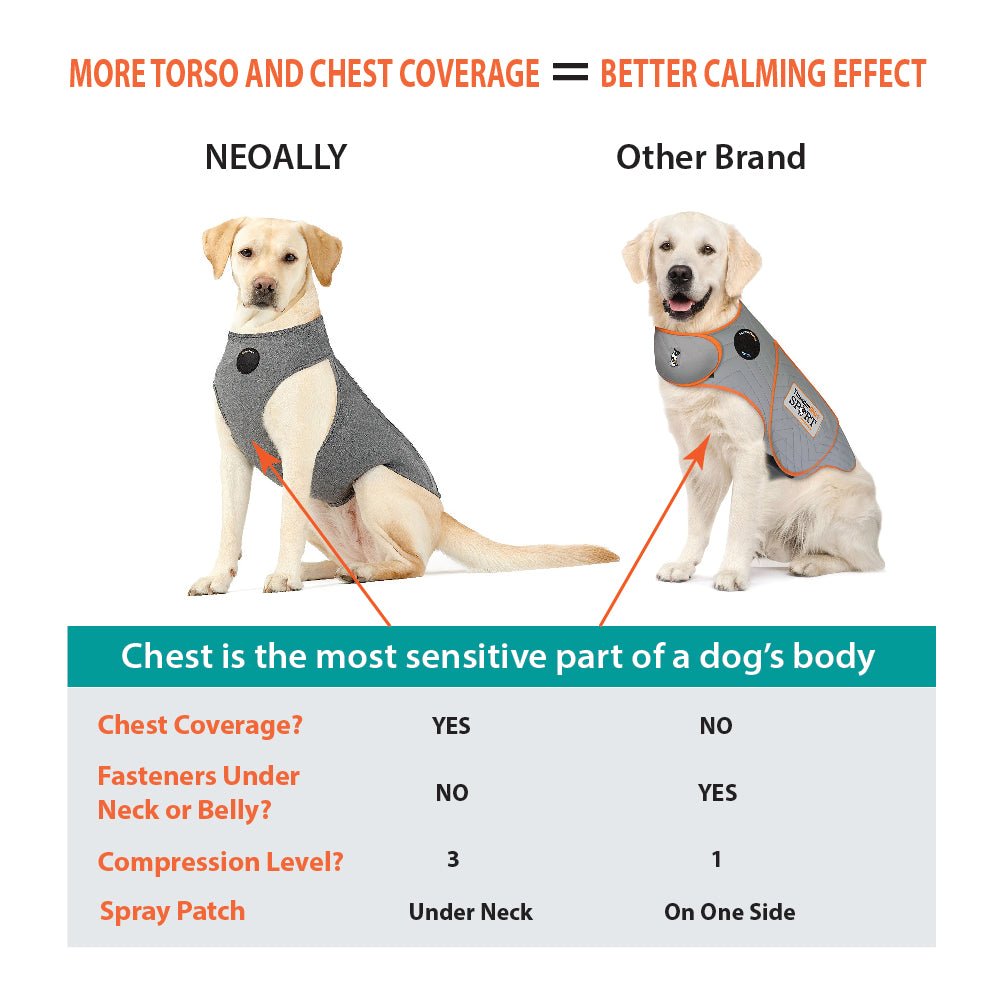 NeoAlly Upgraded Dog Surgical Recovery Vest for Dogs and Cats – alternate view 6