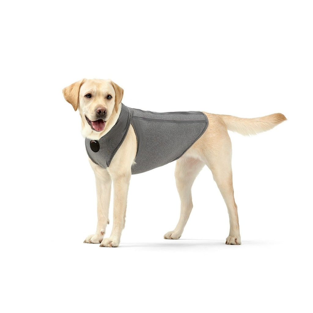 NeoAlly Upgraded Dog Surgical Recovery Vest for Dogs and Cats – alternate view 3