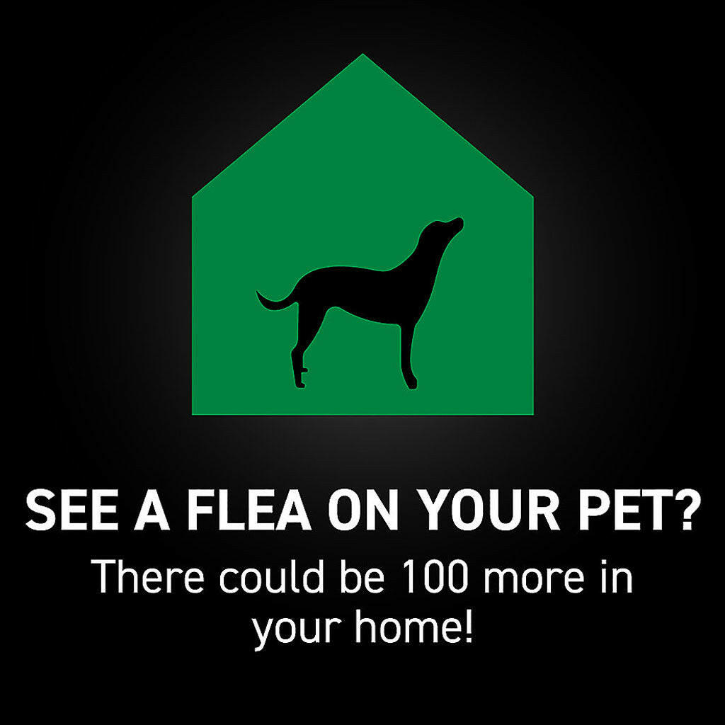 Nextstar Flea and Tick Topical for Large Dogs – photo 6 of 10