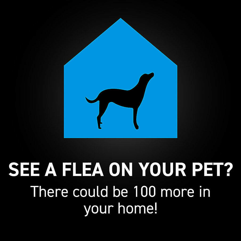 Nextstar Flea and Tick Topical Small Dogs – photo 6 of 10