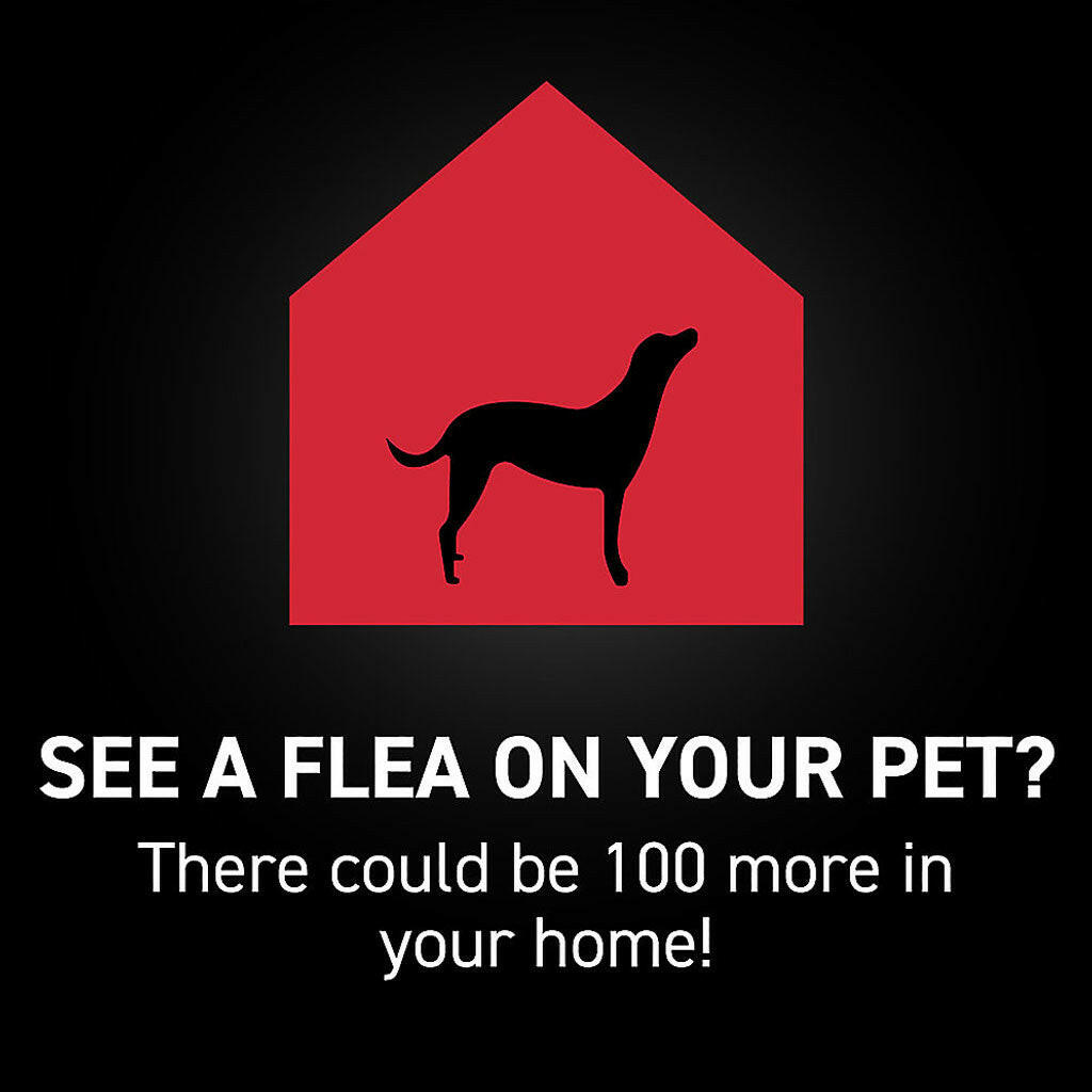Nextstar Flea and Tick Topical for X-Large Dogs – photo 3 of 10