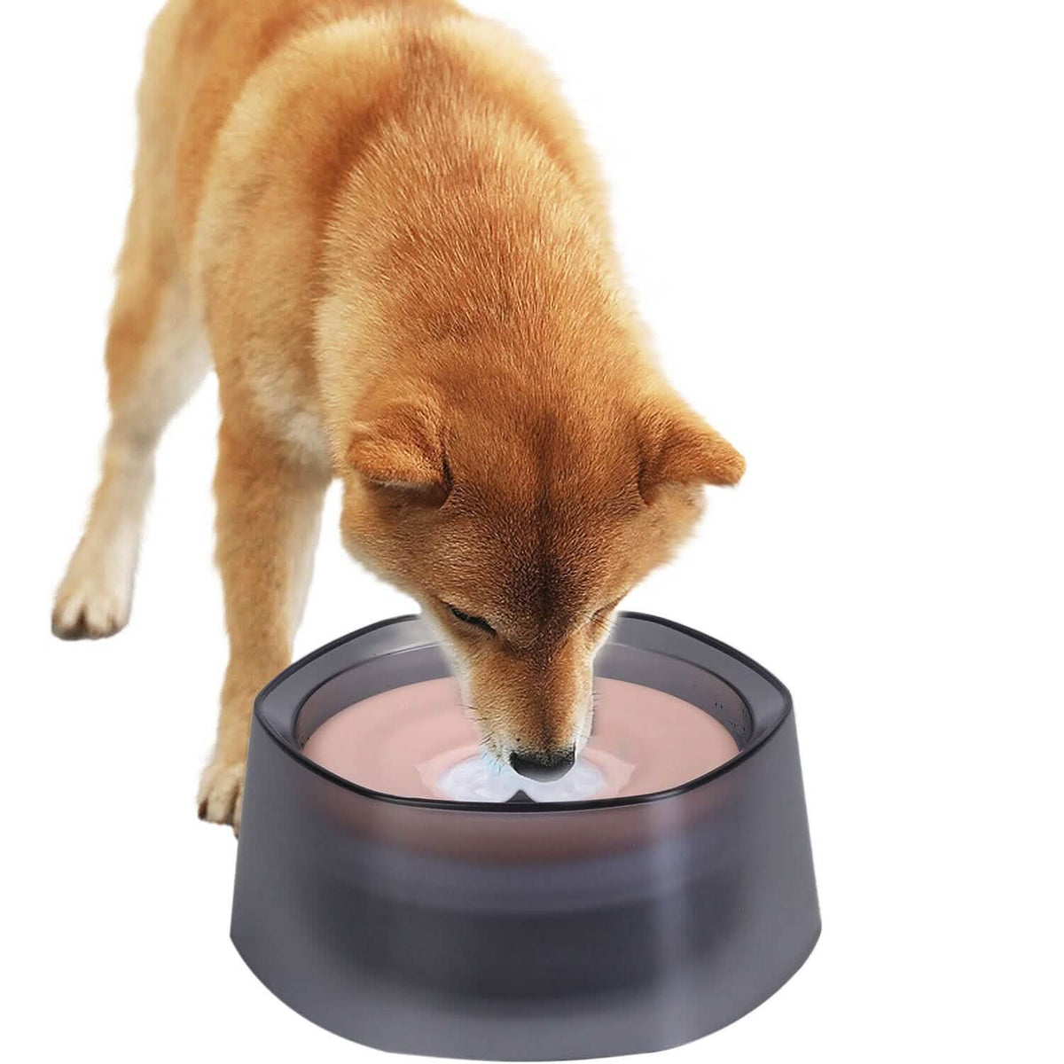 No-Spill Dog & Cat Water Bowl – Spill Proof Slow Feeder – front view
