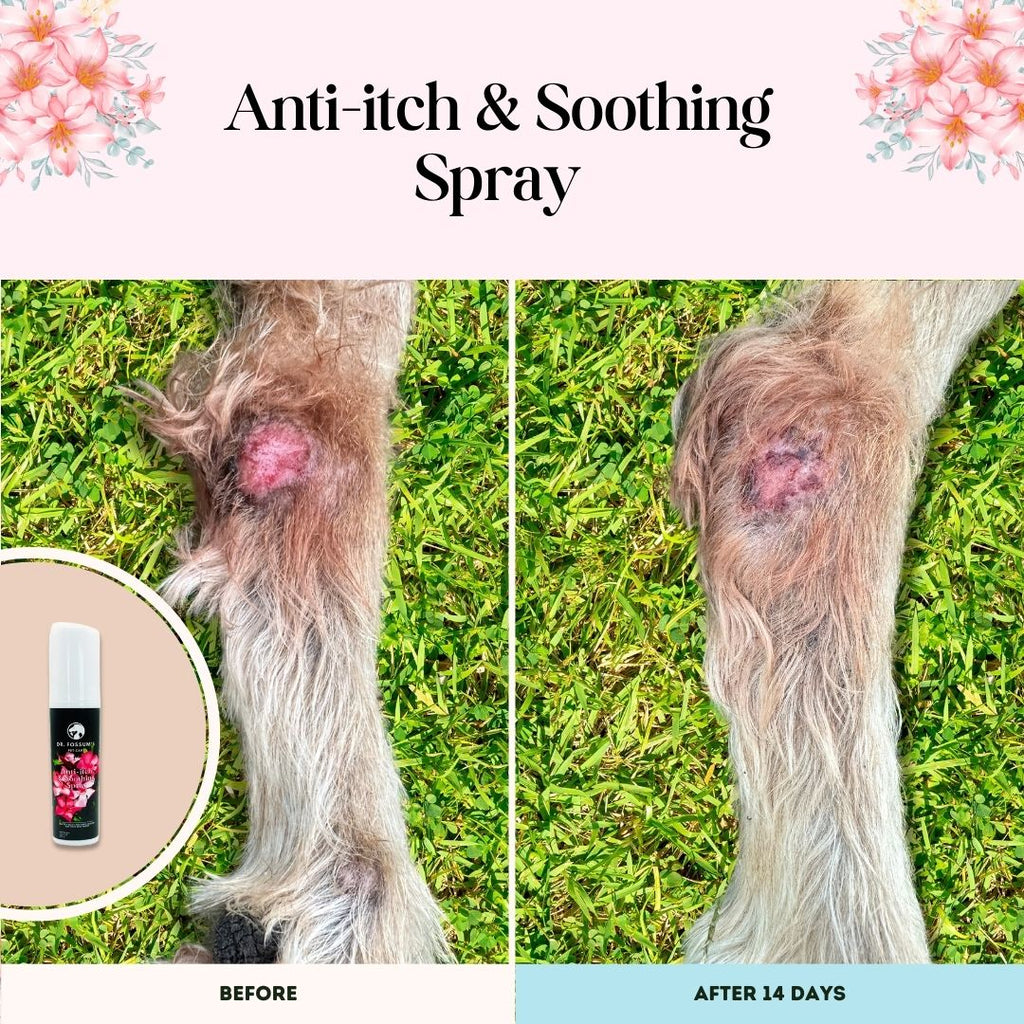 Anti-Itch & Soothing Spray for Dogs by Senior Dogs Club – photo 4 of 4