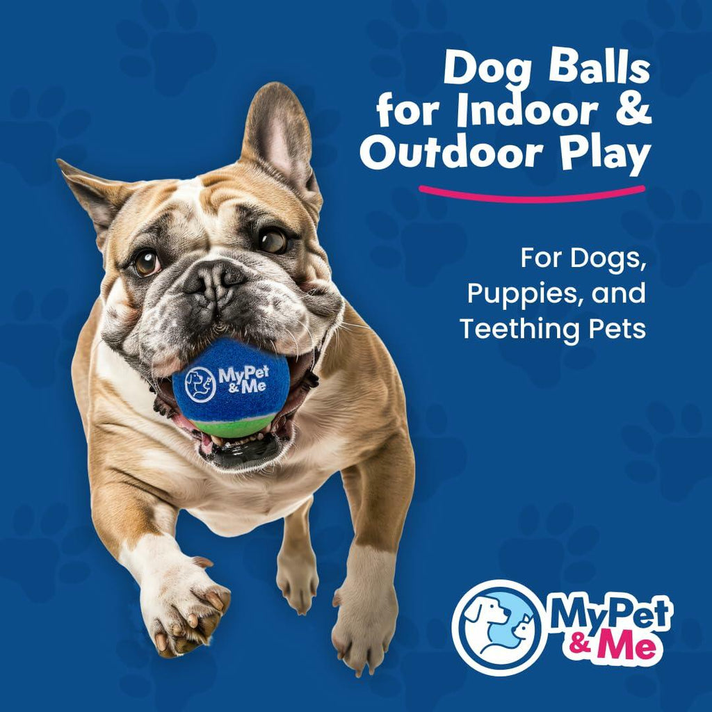 My Pet & Me Dog Tennis Balls 2.5-Inch Soft & Lightweight, 4-Pack – photo 2 of 8