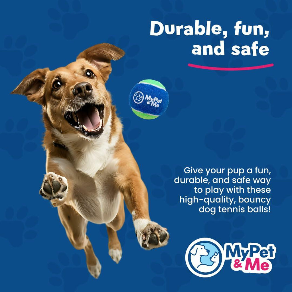 My Pet & Me Dog Tennis Balls 2.5-Inch Soft & Lightweight, 4-Pack – photo 8 of 8