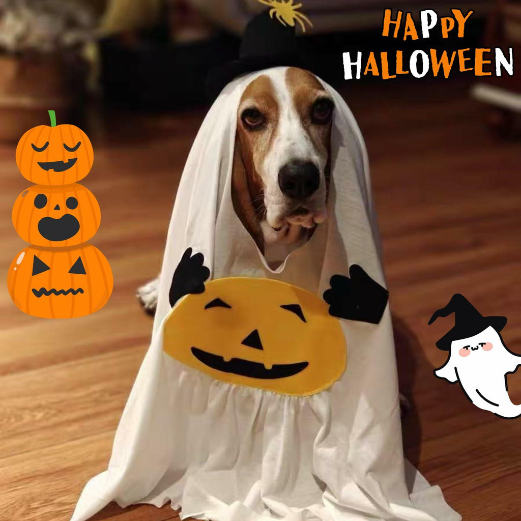 Pumpkin Ghost Dog Costume – Cute Halloween Outfit – alternate view 1