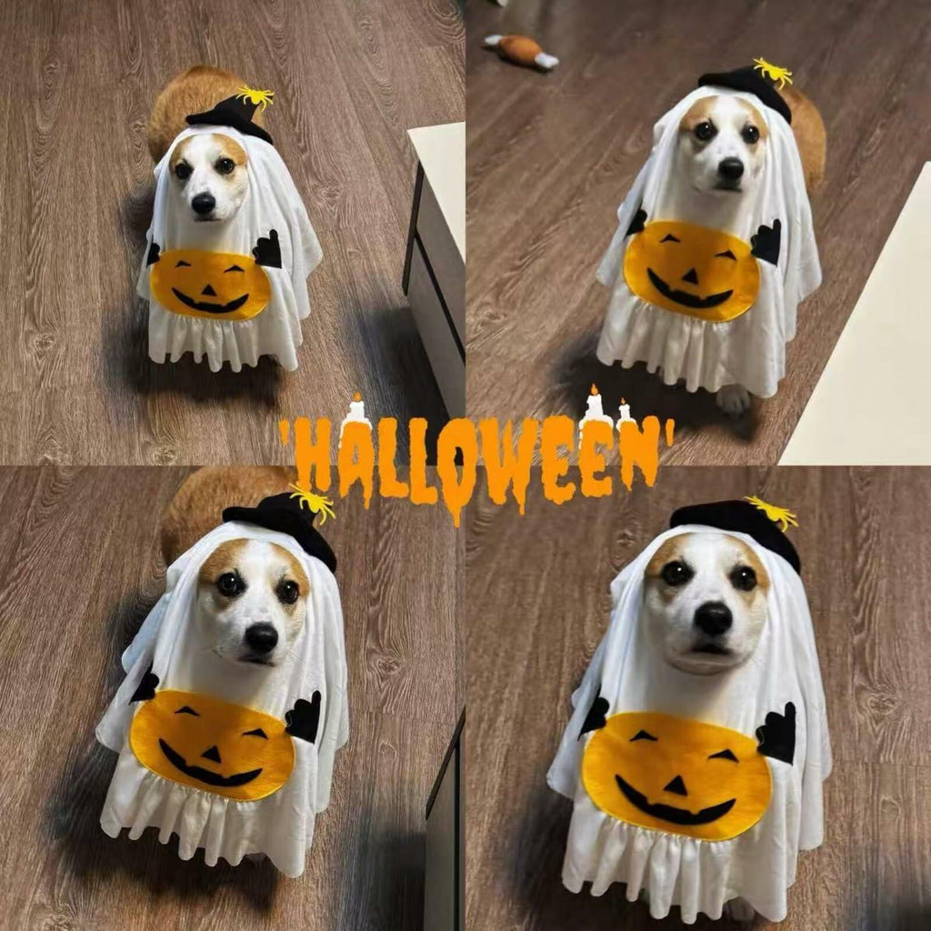 Pumpkin Ghost Dog Costume – Cute Halloween Outfit – alternate view 5