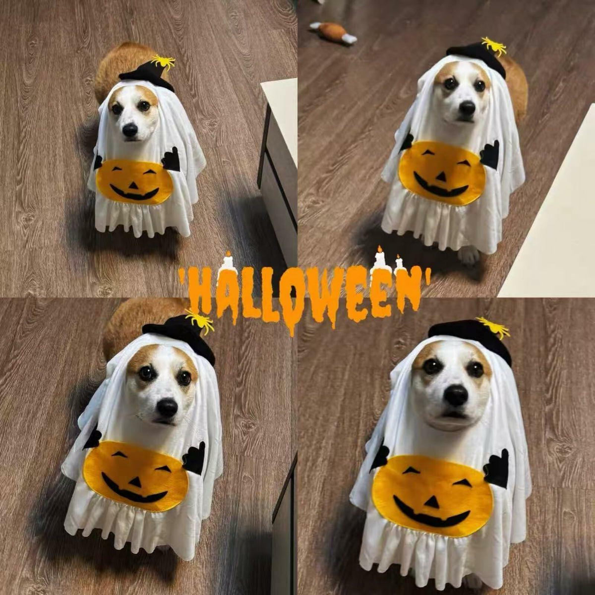 Pumpkin Ghost Dog Costume – Cute Halloween Outfit – alternate view 5