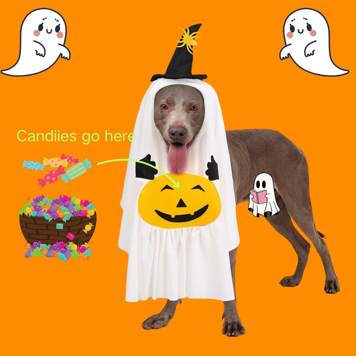 Pumpkin Ghost Dog Costume – Cute Halloween Outfit – alternate view 2