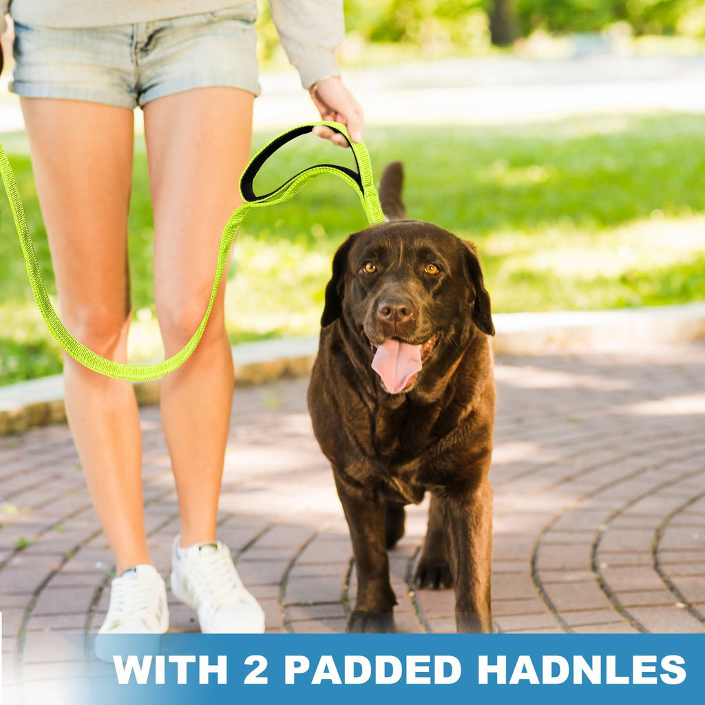 Htnlbqy Reflective Dog Leash Reinforced Nylon, Padded Handle, 5 FT, Bright Green – photo 6 of 7