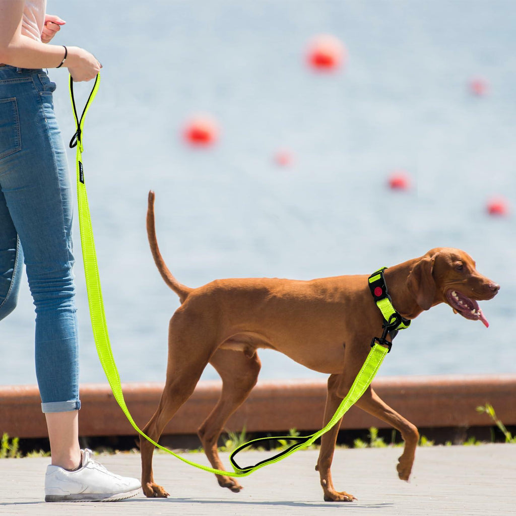 Htnlbqy Reflective Dog Leash Reinforced Nylon, Padded Handle, 5 FT, Bright Green – photo 7 of 7