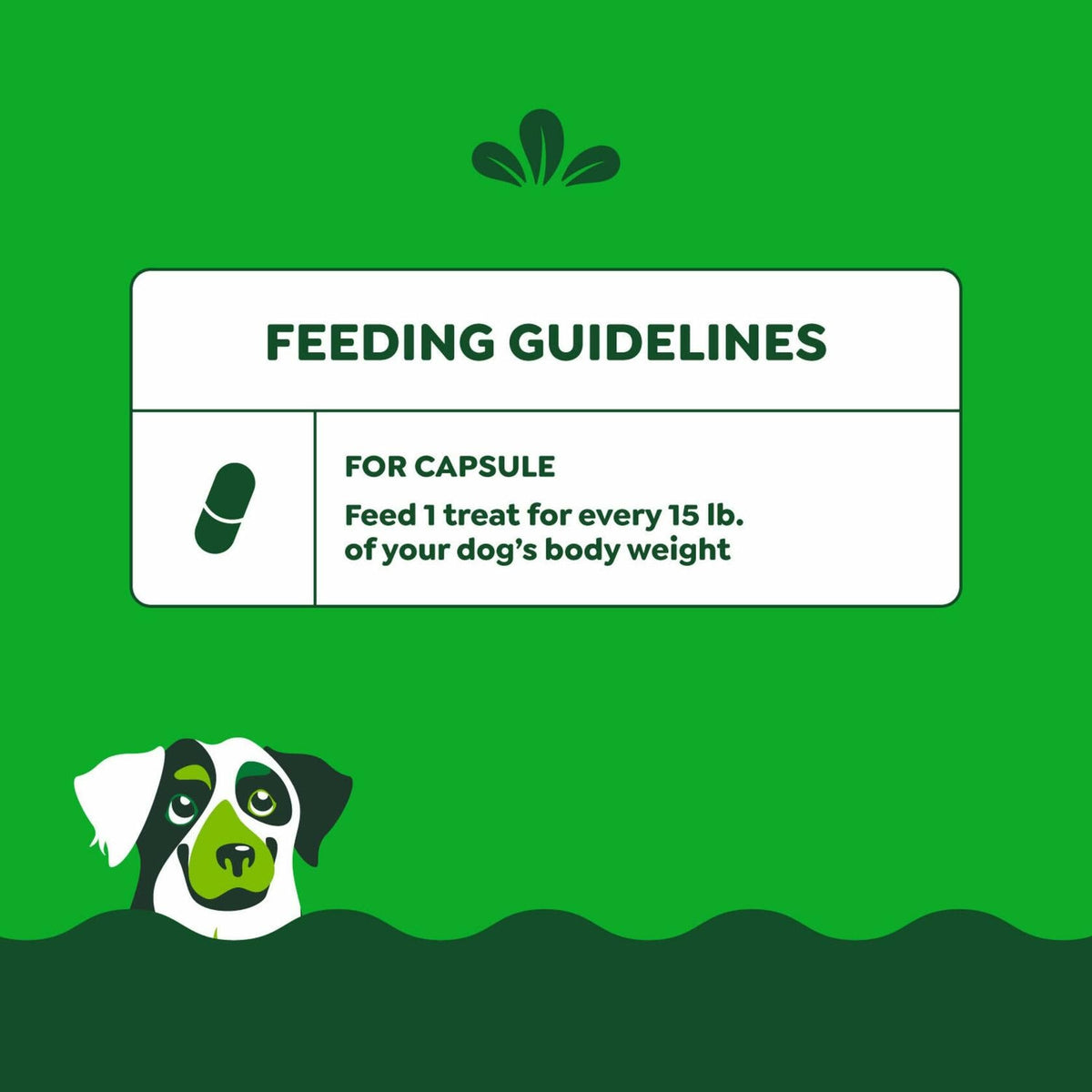 Greenies Pill Pockets for Dogs Cheese Flavor, Large, 7.9 oz – photo 6 of 9