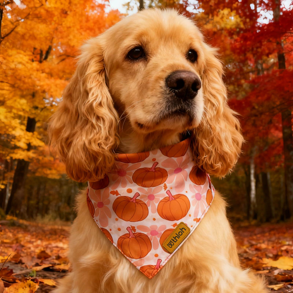 THLOH Fall Dog Bandanas Reversible Pumpkin & Leaf, Orange, 2-Pack, Large – photo 4 of 6