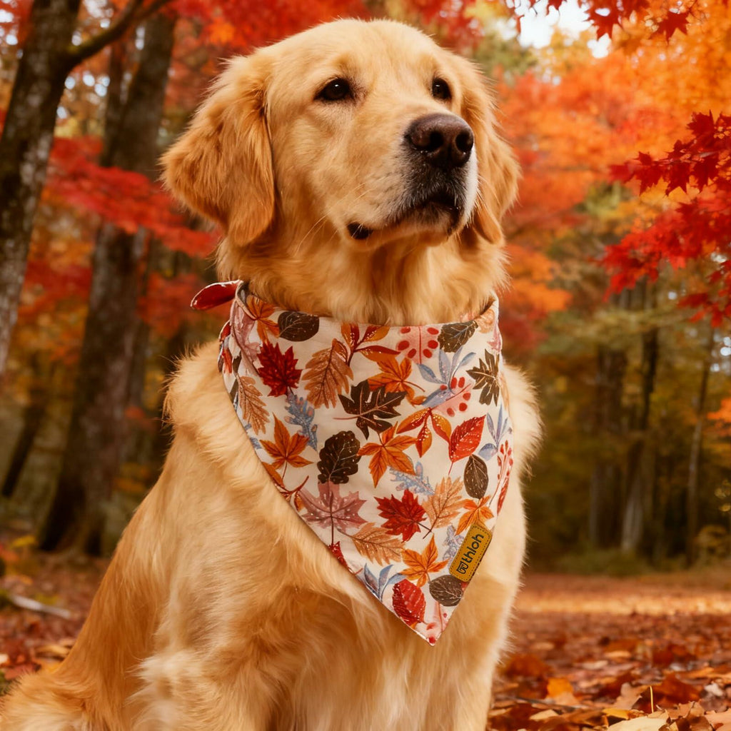 THLOH Fall Dog Bandanas Reversible Pumpkin & Leaf, Orange, 2-Pack, Large – photo 3 of 6