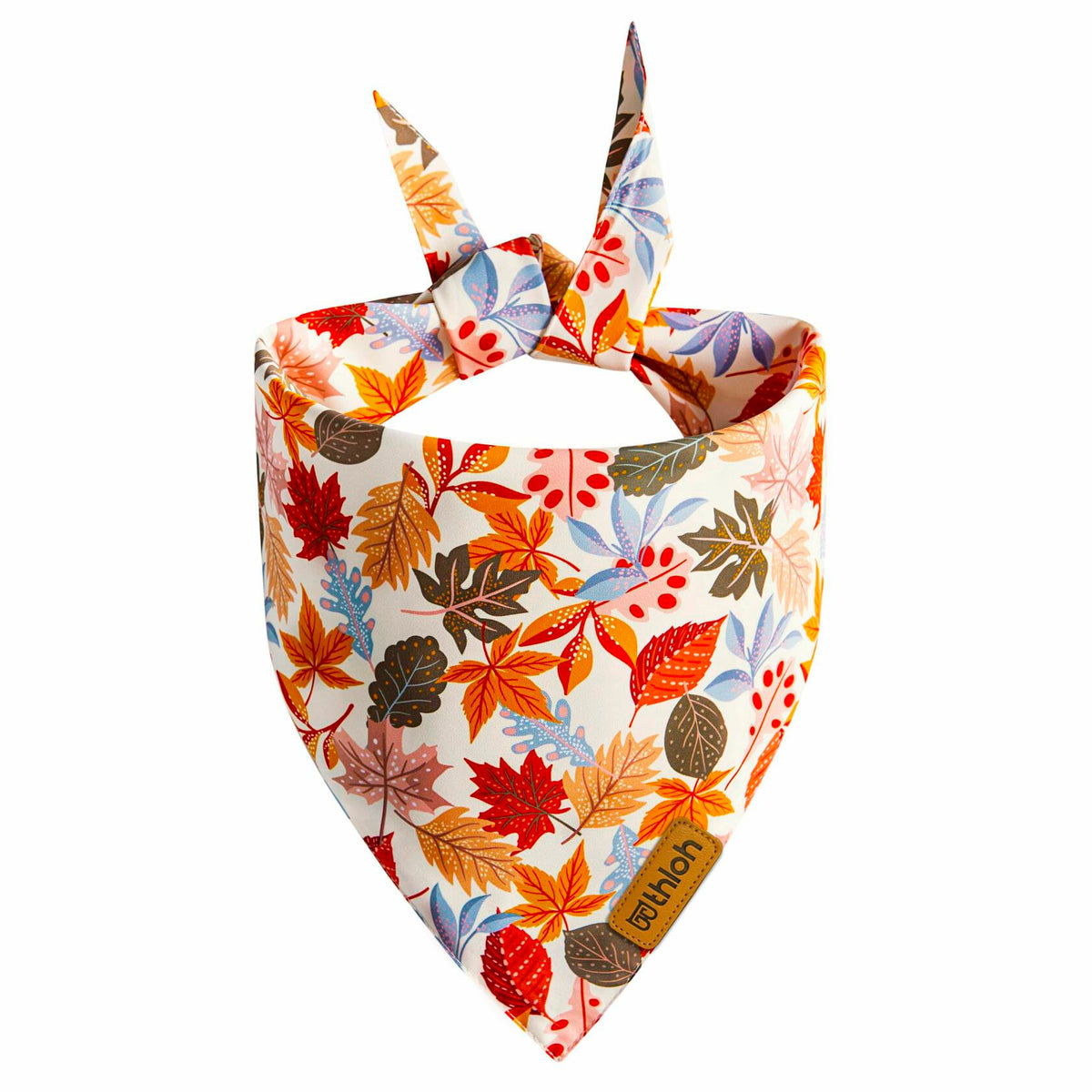 THLOH Fall Dog Bandanas Reversible Pumpkin & Leaf, Orange, 2-Pack, Large – photo 5 of 6