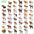 60 Pack Assorted Holiday Cat & Dog Ornaments