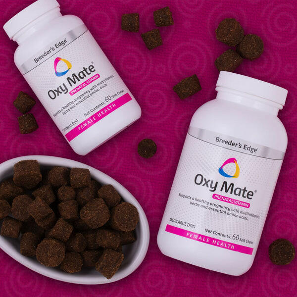 Breeders Edge Oxy Mate Prenatal Chews Small Dogs Cats – photo 5 of 7