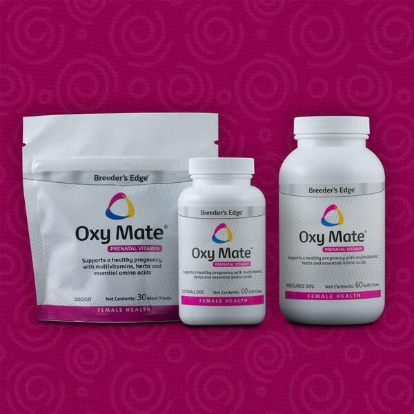 Breeders Edge Oxy Mate Prenatal Chews Small Dogs Cats – photo 4 of 7
