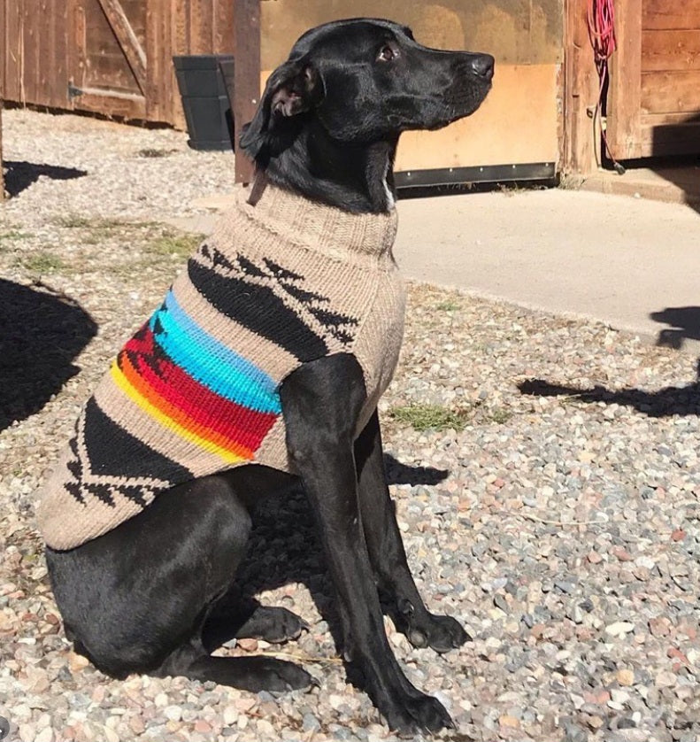 Painted Desert Dog Sweater Arizona Canyon Colors – photo 7 of 7