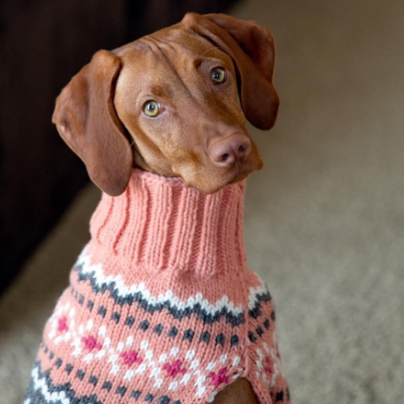 Peach Fairisle Dog Sweater White Peach and Gray Fair Isle – photo 4 of 8