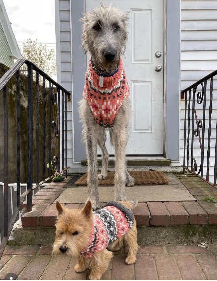 Peach Fairisle Dog Sweater White Peach and Gray Fair Isle – photo 5 of 8