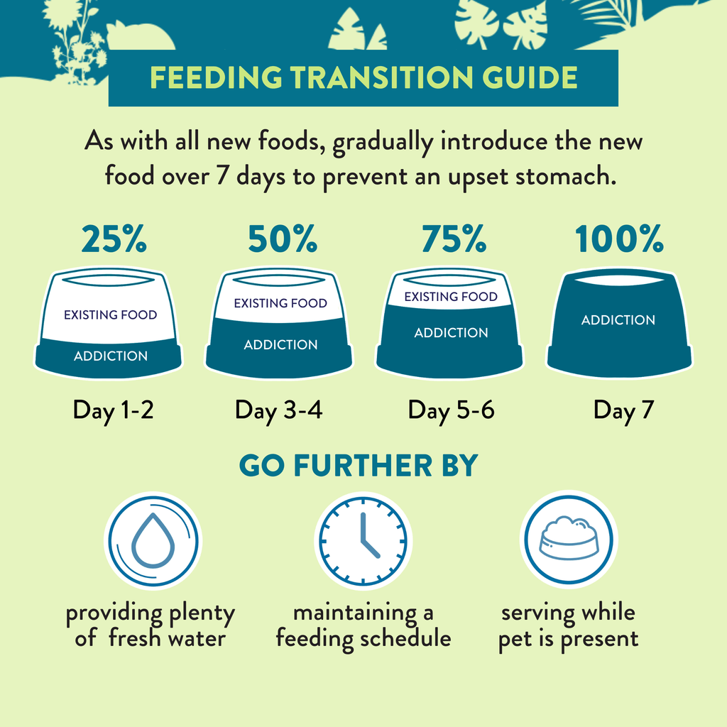 Seven day feeding transition guide for switching to Addiction dog food