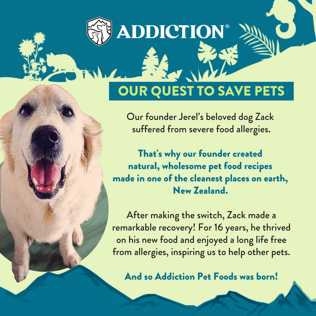 Addiction founder story graphic: golden retriever Zack and the quest to save pets