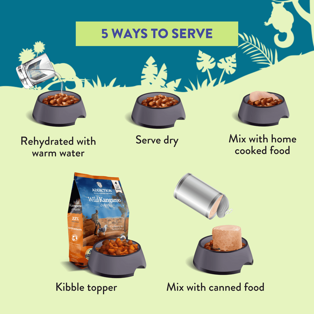 Five ways to serve Addiction air-dried dog food infographic