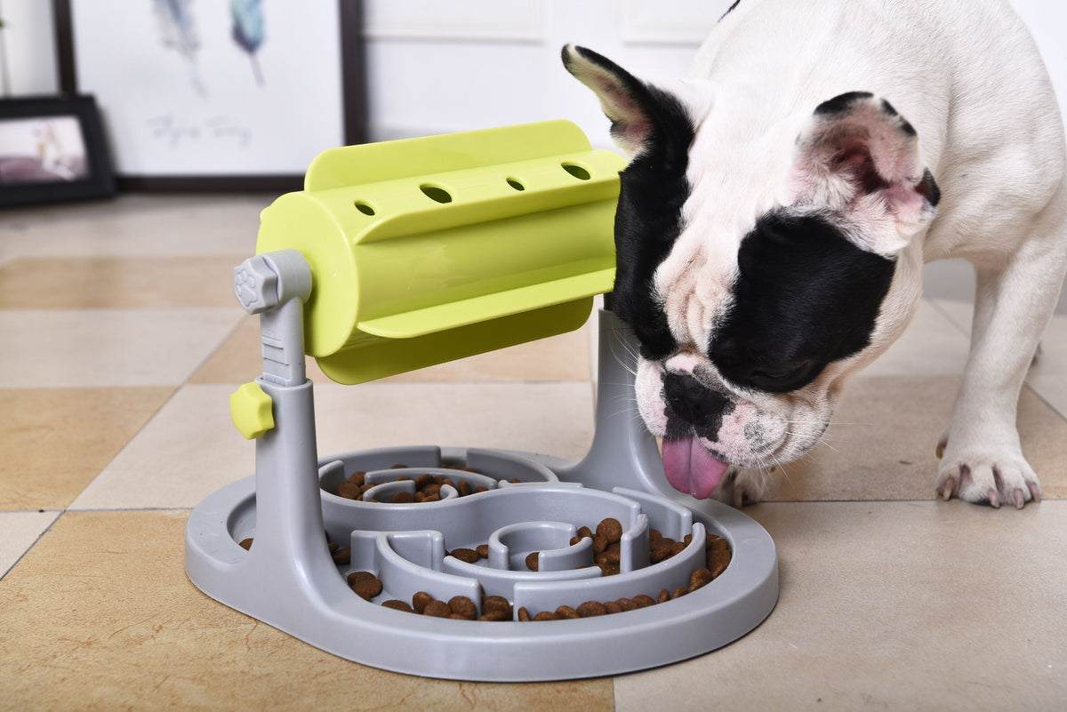 Pet Life Roto Paw IQ Training Slow Dog Feeder – Interactive – detail