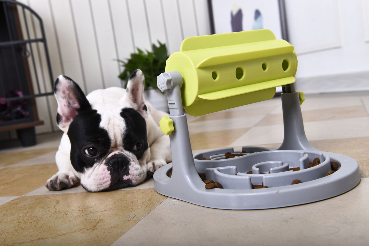 Pet Life Roto Paw IQ Training Slow Dog Feeder – Interactive – detail