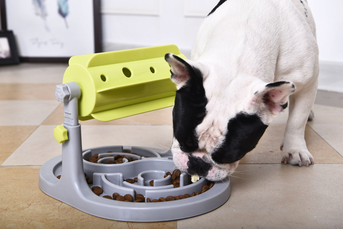 Pet Life Roto Paw IQ Training Slow Dog Feeder – Interactive – detail