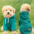 Pet Sweatshirt Hoodie with Back Pocket for Small Dogs – photo 1 of 6