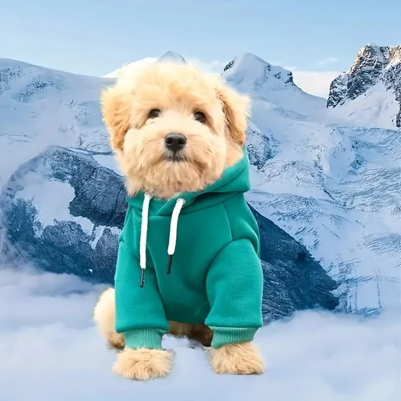Pet Sweatshirt Hoodie with Back Pocket for Small Dogs – photo 4 of 6