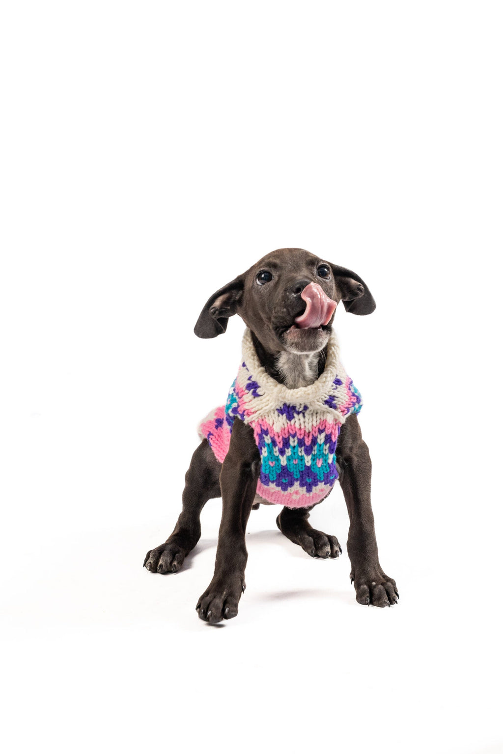 Pink Ski Bum Dog Sweater Alpaca with Harness Hole – photo 2 of 7