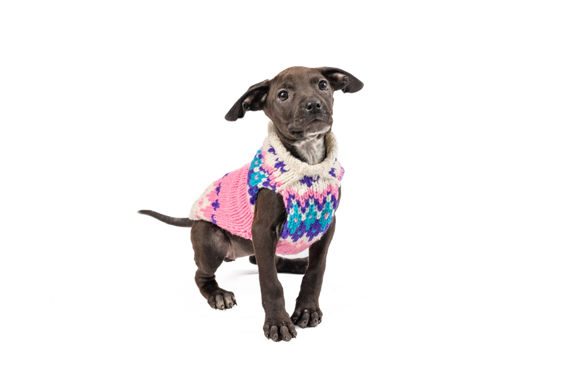 Pink Ski Bum Dog Sweater Alpaca with Harness Hole – photo 4 of 7