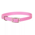 Coastal Dog Collar 12 Pink