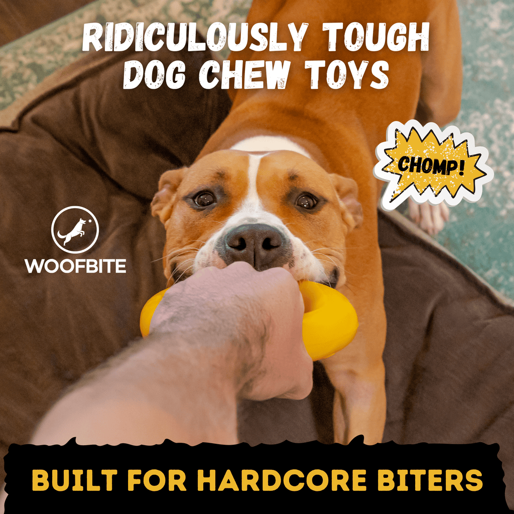 Clutch Ring Dog Chew Toy – Durable – alternate view 3