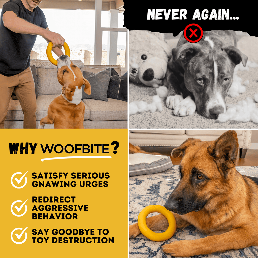 Clutch Ring Dog Chew Toy – Durable – alternate view 8