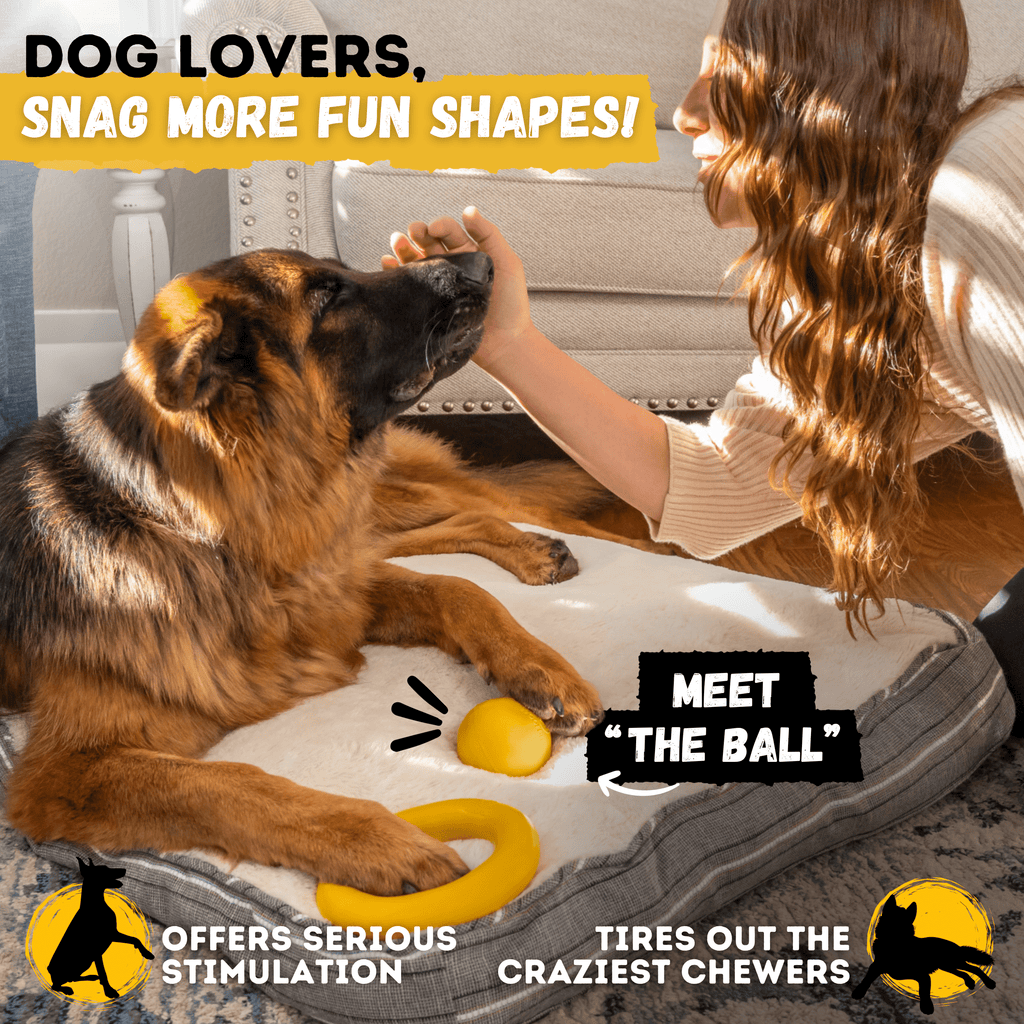 Clutch Ring Dog Chew Toy – Durable – alternate view 9