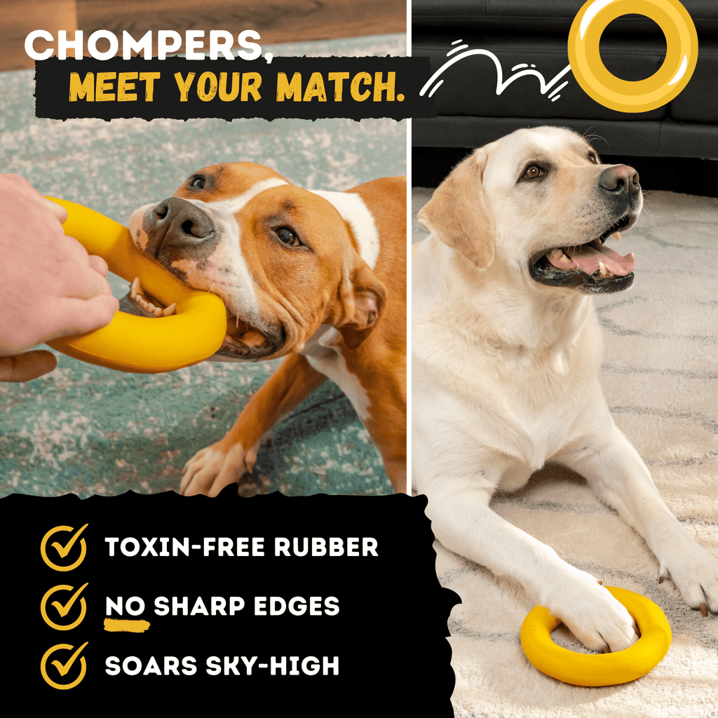 Clutch Ring Dog Chew Toy – Durable – alternate view 4