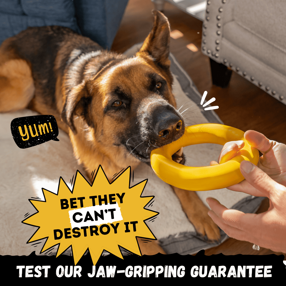 Clutch Ring Dog Chew Toy – Durable – alternate view 5