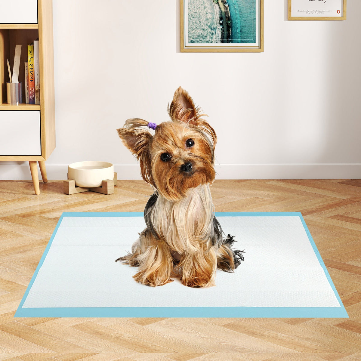 Dog Pee Pads 24 x 17 Inch 300 Count Blue – photo 1 of 8